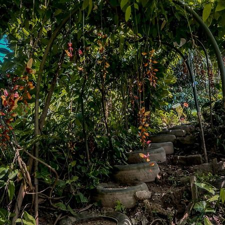 Secret Mountain Paradise エッラ エクステリア 写真
